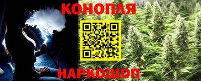 крисы Рыбинск