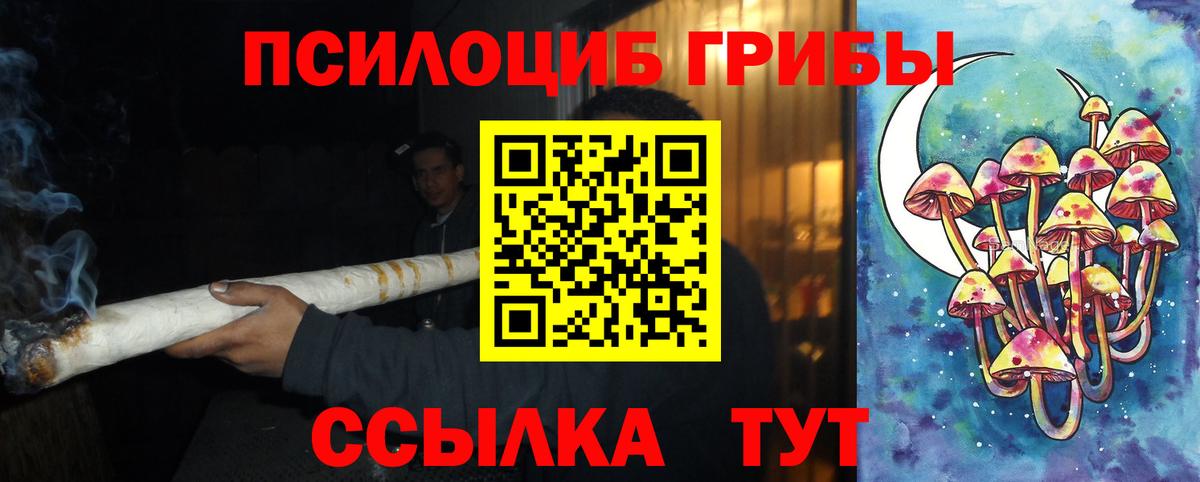 Галлюциногенные грибы ЛСД  цена   Новоалександровск  Вход с VPN 
