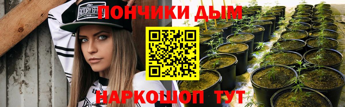 Новоалександровск  МАРИХУАНА AK-47  Вход с VPN  Бошки марихуана семена  МАРИХУАНА SATIVA & INDICA 